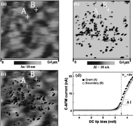 Fig. 3. AFM topography (a) and C-AFM current image (b) of ZnO ﬁlm with area of 0.4  0.4 mm 2 acquired at V tip ¼ 3 V
