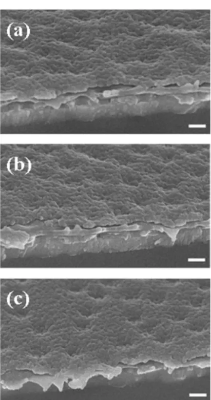 Figure 5. SEM images of devices with sinks on the collector surface. The thickness of PVP is 600 Å, while the thickness of Al grid is 400 Å
