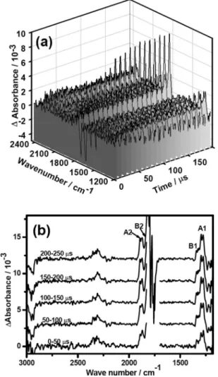 FIG. 2. Geometries predicted with the B3LYP/aug-cc-pVTZ method for