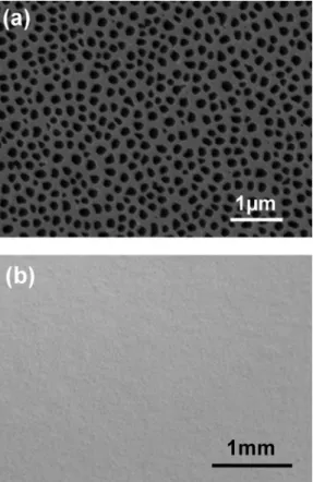 FIG. 2. Bright-field images of LEDs grown on MPSi 共a兲 and NPSi 共b兲, 共c兲 Multibeam dark-field images collected near zone axis