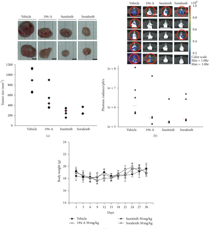 Figure 5: Comparison of the antitumor activity of 194-A with sunitinib or sorafenib in the 4T1 orthotopic graft model