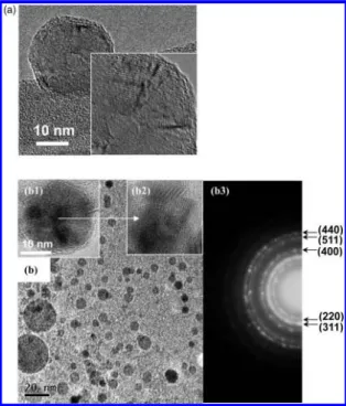 Figure 2 . TEM image of the morphology of (a) pure F127 nanospheres and (b) distribution of F127-MNPs