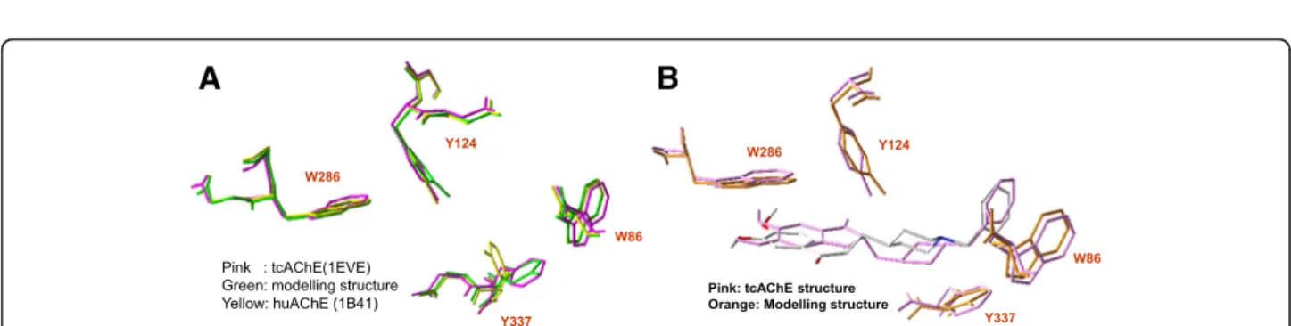 Fig. 3 Structure simulation and docked pose of huAChE. a The structural alignment of huAChE (PDB entry 1B41, yellow), tcAChE (PDB entry 1EVE with bounded ligand E2020, pink) and modeled structures (green)