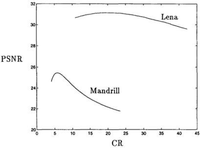 FIG.  7.  (a)  Original  Lena  and  the  reconstructed  pictures  with  PSNR  =  30.0203