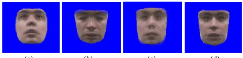 Fig. 5. Synthesized face images produced by horizontal and vertical morphing.   
