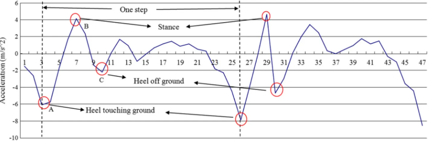 Fig. 7.2. The vertical acceleration of walking.