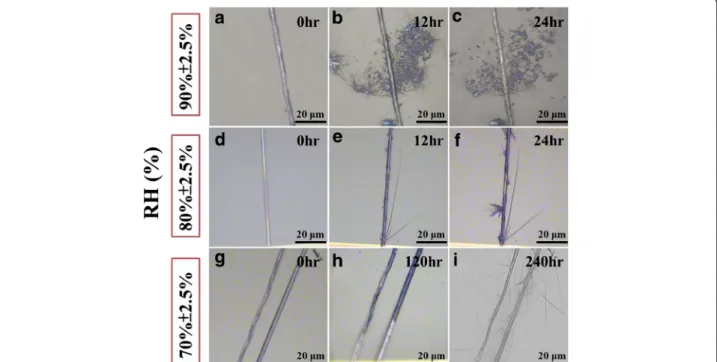 Figure 1 The spontaneous reaction of ZnO nanobranches (NBs) can be observed by optical microscope (OM)