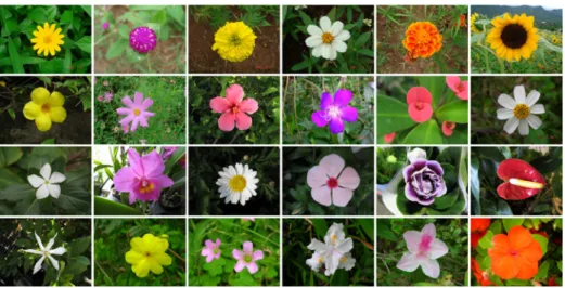 Table 3 Comparison of recognition rate on the first flower image database