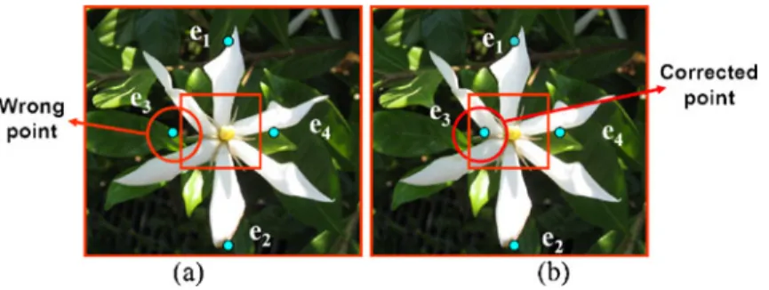 Fig. 8 The flower bounding window is divided into four sub-regions