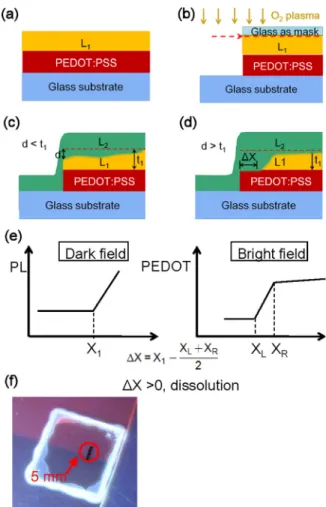FIG. 1. Schematic diagram for process of observation by fluorescence micros- micros-copy
