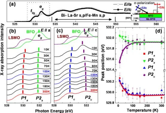 FIG. 3 (color online). (a) Polarization dependent oxygen K-edge XAS spectra with linearly polarized x rays in wide energy range at T ¼ 10 K