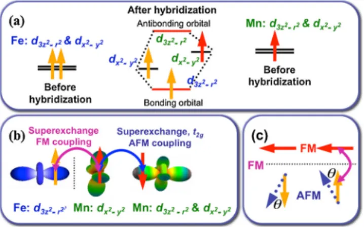 FIG. 4 (color online). (a) Schematic of the interface electronic orbital reconstruction, with hybridization, (b) Proposed interface spin configuration and coupling mechanism with d x 2 y 2 orbital