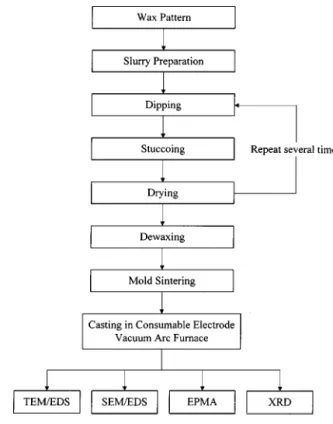 Figure 1 The flow chart of experimental procedures.