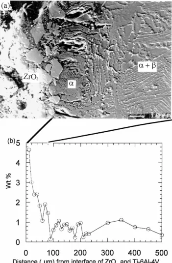 Figure 3 (a) An SEM micrograph showing the reaction zone of a thin
