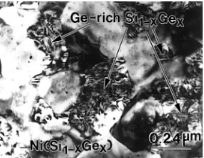Fig. 1. Plan-view TEM image of the Ni/Si 0:76 Ge 0:24 sample an- an-nealed at 400°C showing the agglomeration structures.