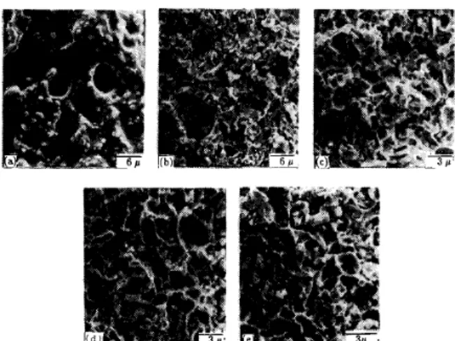 Fig.  7.  Fracture  surface  of  conductor DCl  after  various  time  of  aging  at  13OoC