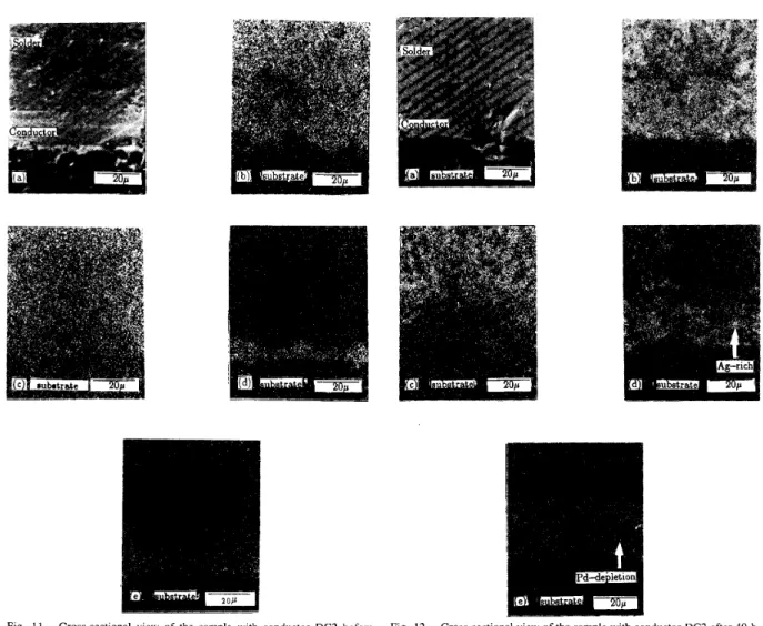 Fig.  11.  Cross-sectional  view  of  the  sample  with  conductor  DC2  before  aging