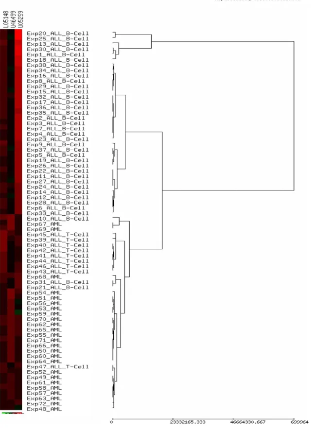 Fig. 7. The clustering result of 72 samples in data set leukemia1 using the three selected genes by the clustering algorithm EPCLUST ( Parkinson et al., 2003 ).