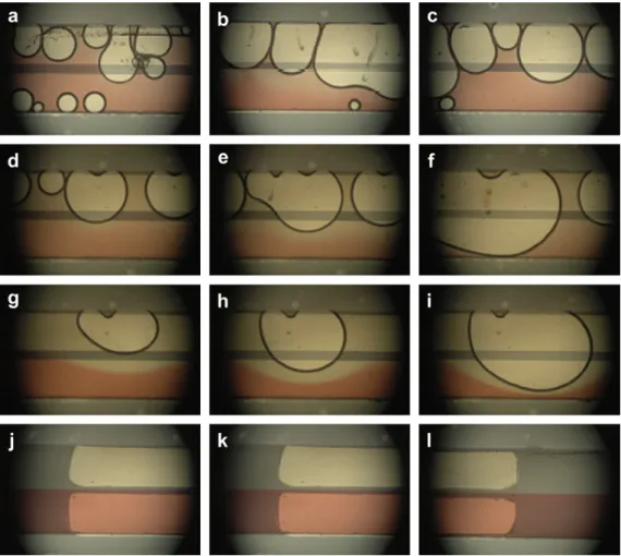 Fig. 3 , it consists of three major components, including a micro- micro-ﬂuidic reactor with a Y-shaped microchannel, a ﬂuid delivery system and an image recording and acquisition system.