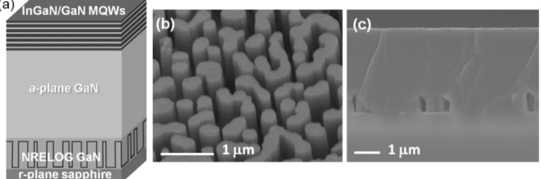 Fig. 1 (a) shows the sketch of the InGaN/GaN MQWs structure grown on a-plane GaN nanorod epitaxial lateral  overgrowth templates