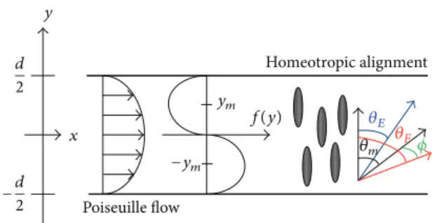 Figure 3: Comparison of molecule tilt angles between cell gap thicknesses of (a) 3 