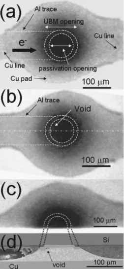 FIG. 3. Plan-view x-ray images of the joint after stressing for 共a兲 37.8 h, 共b兲 110.2 h, 共c兲 177.8 h, and 共d兲 384.0 h