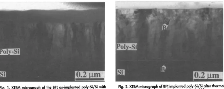 Fig.  1.  XTEM  micrograph  of the  BF,~ as-implant~  poly-Si/Si  with  Fig. 2. XTEM micrograph  of BF~ implanted  poly-Si/Si  after thermal  an  energy of  80  keV  anda  dose of 6  •  10 Ts cm -2