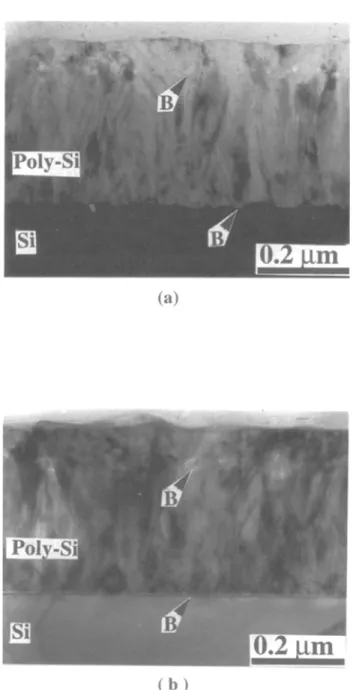 Fig. 3. XTEM micrographs of BF~ implanted poly-Si/Si after thermal  annealing  at  900~  for  (a)  30  and  (b)  60  min