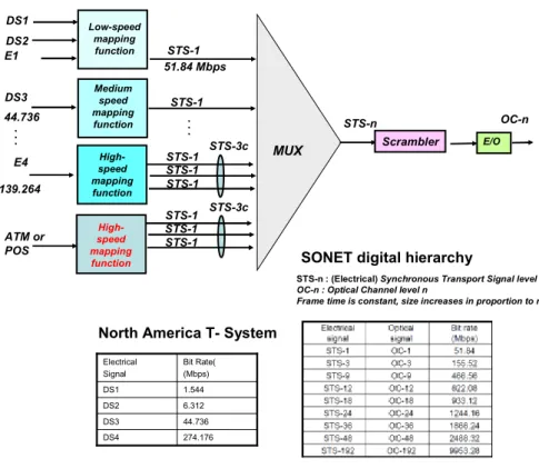 Figure 4 - SONET multiplexing 
