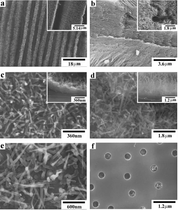Fig. 2. SEM micrographs (a) top-views of Sample 1 at two magnifications; (b) top-views of CNTs of Sample 2 at two magnifications; (c) top-