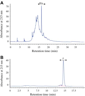Fig. 4. (A) Reverse-phase HPLC pattern of active fraction B1 on a ODS C18 reverse - -phase column (10  250 mm) and the separation was carried out with a linear gradient from 25% to 40% acetonitrile in 0.1% TFA for 30 min at a ﬂow rate of 2 ml/ min