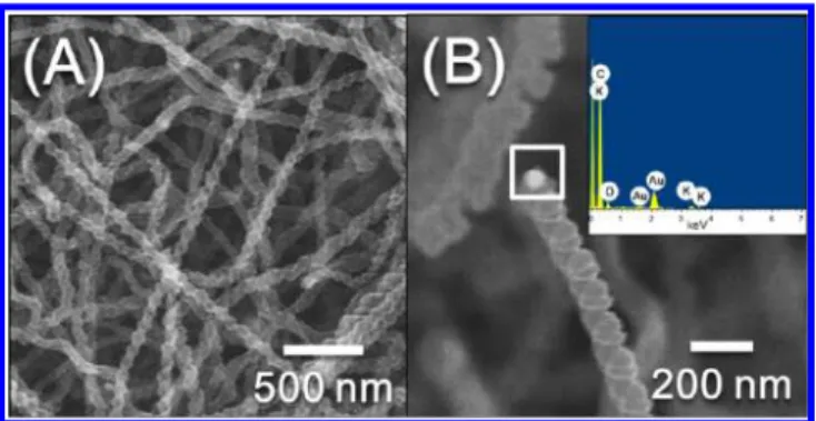 Figure 1. SEM images of as-grown CNCs in sample 22. (A) Low- and (B) high-magniﬁcation top-view images