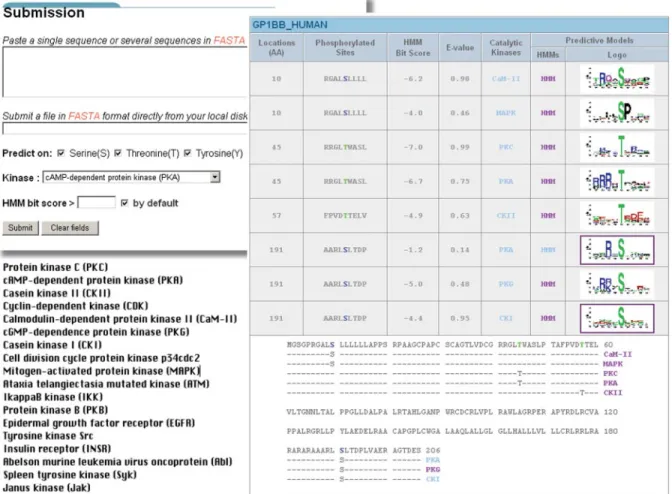Figure 2. The KinasePhos web interface.