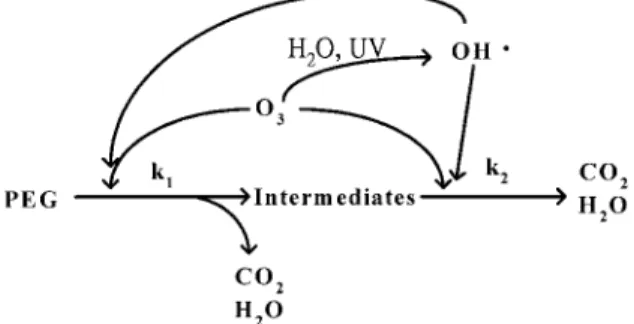 FIG. 9. Concentration Variations of C TOC and C ALb of PEG Ozonation with UV Radiation of 57.6 W/m 2
