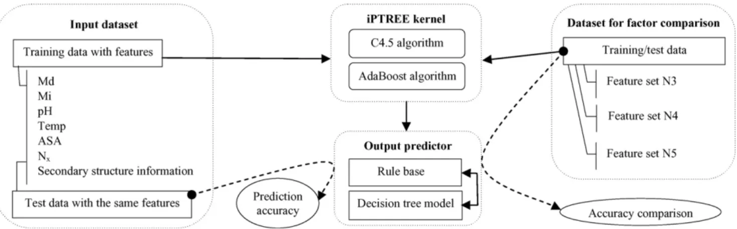 Fig. 1. The framework of iPTREE for factor analysis and protein stability change prediction by establishing an accurate rule base