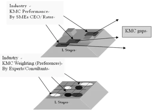 Fig. A3. Complete the weighting by consultants and KMC performance by SME CEO/Rater.