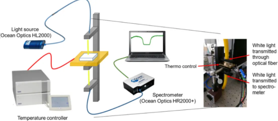 Fig. 1. System diagram of transmission spectroscopic measurement for the BPLC-based  protein assay