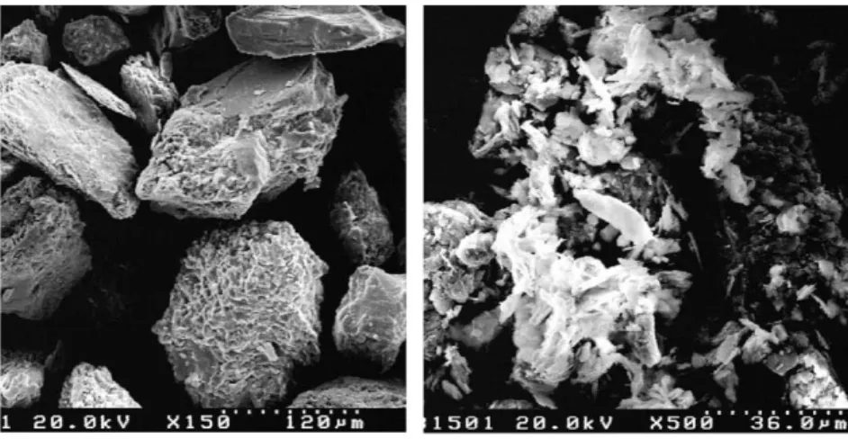 Fig. 2. Scanning electron microscope photograph of MLS particles.
