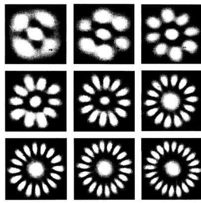 Figure 5. A sequence of output beam proﬁles of LG TEM 0 ,l + TEM 0 ,0 modes for l = 2–10 measured with the CCD camera.