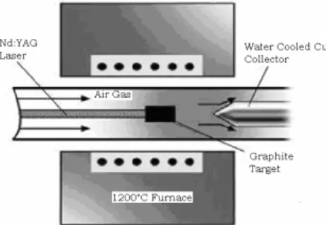 Figure 2 . Schematic drawing of a laser ablation appratus 