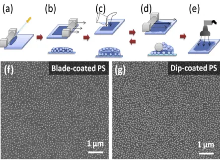 Fig. 2. The process involved in the blade method. (a) Drop the ethanol solution of PS spheres