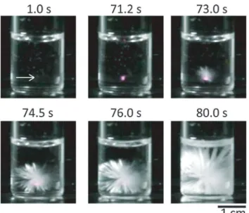 Table 1 List of materials in which nucleation can be induced by femtosecond laser ablation