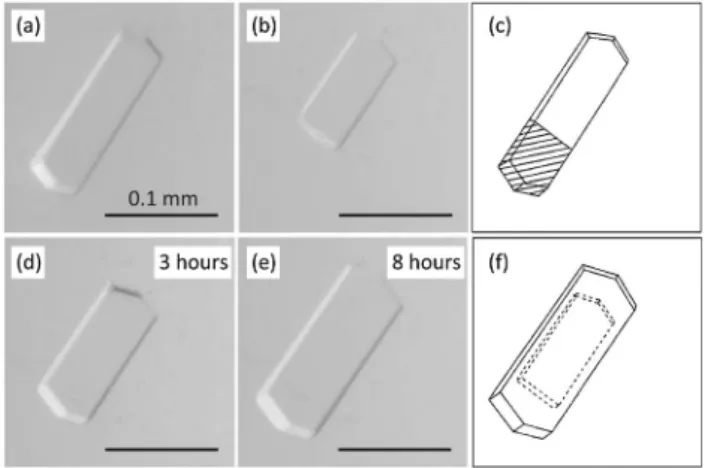 Fig. 10 Macroseeding of protein crystals by deep-UV laser ablation. (a) An as-grown HEWL crystal before laser ablation