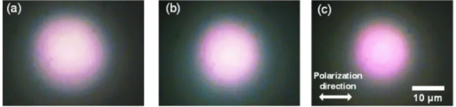 Figure 3: The backscattering images of the nanoparticle assemblies formed by the 180-sec laser irradiation into the 