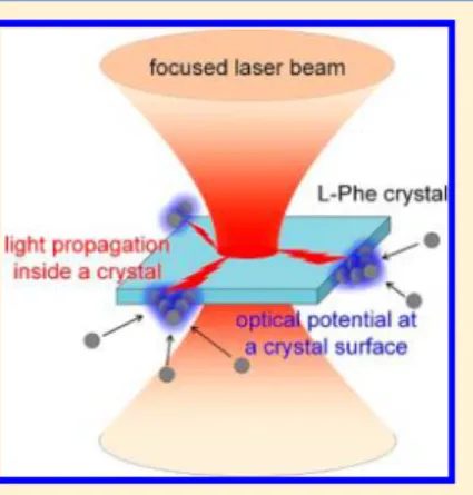 Figure 1a shows a schematic illustration of our experimental procedure for laser trapping of L -Phe, whose details are