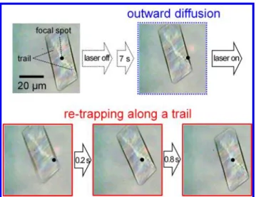 Figure 3. The behavior of outward di ﬀusion and retrapping of the plate-like crystal.