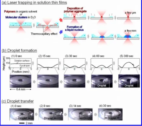 FIGURE 4. Representative behavior of laser trapping crystallization of glycine (a) in a supersaturated solution and (b) in an unsaturated solution