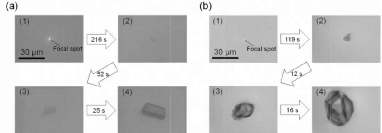 Figure 2: Forma