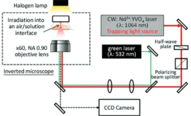 Fig. 1 shows the optical setup used in this work. A linearly- linearly-polarized CW laser beam of 1064 nm from a Nd 3+ :YVO 4 laser