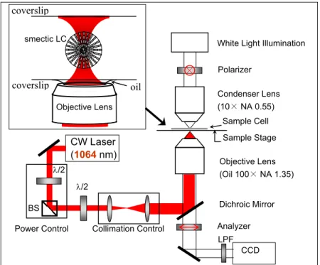 Figure 1. A schematic diagram of the experimental setup; BS = beam splitter, λ/2=half-wave plate, LPF = low pass filter  with transmission edge at 900 nm